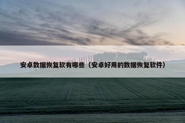 安卓数据恢复软有哪些（安卓好用的数据恢复软件）