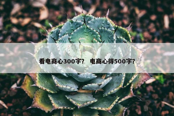 看电商心300字？ 电商心得500字？