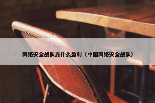 网络安全战队靠什么盈利（中国网络安全战队）