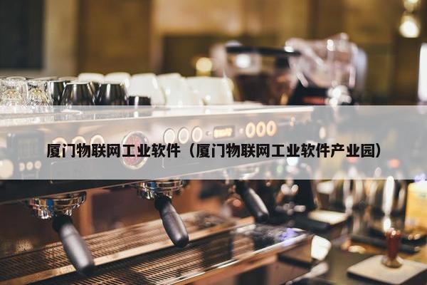 厦门物联网工业软件（厦门物联网工业软件产业园）