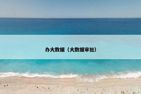 办大数据（大数据审批）
