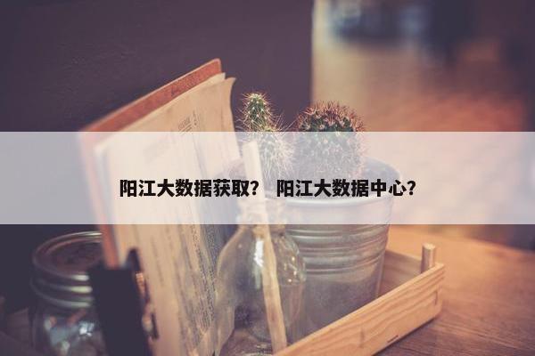 阳江大数据获取？ 阳江大数据中心？