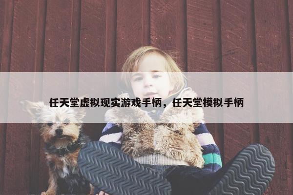 任天堂虚拟现实游戏手柄，任天堂模拟手柄