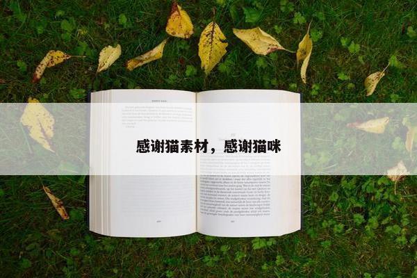 感谢猫素材，感谢猫咪