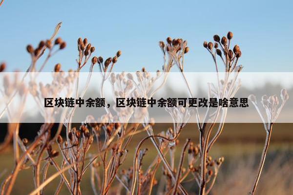 区块链中余额，区块链中余额可更改是啥意思