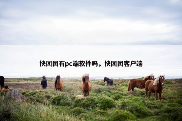 快团团有pc端软件吗，快团团客户端