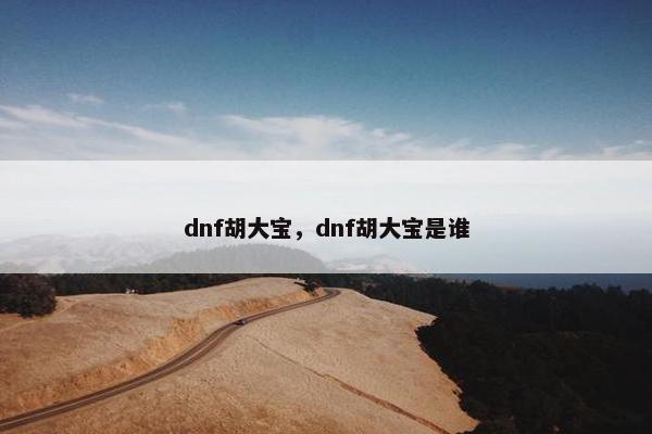 dnf胡大宝，dnf胡大宝是谁