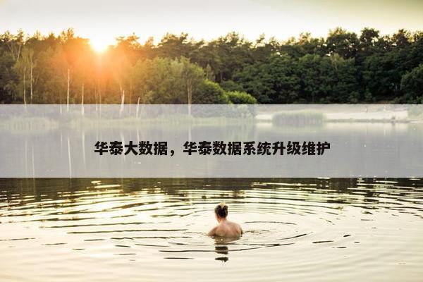 华泰大数据，华泰数据系统升级维护