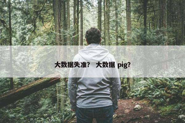 大数据失准？ 大数据 pig？