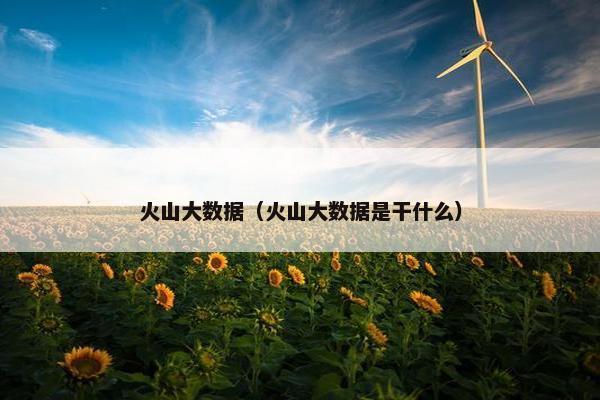 火山大数据（火山大数据是干什么）