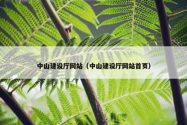 中山建设厅网站（中山建设厅网站首页）
