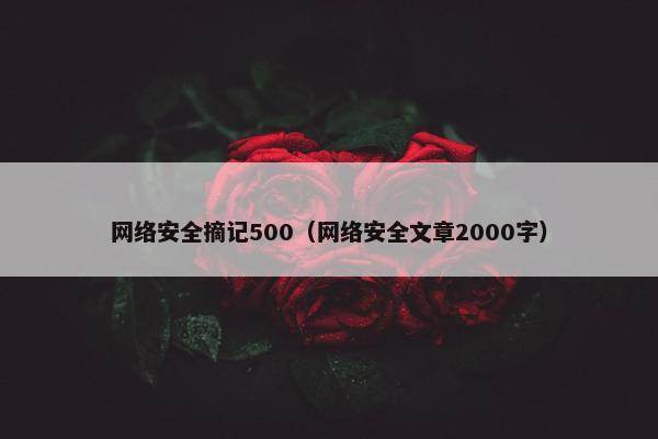 网络安全摘记500（网络安全文章2000字）