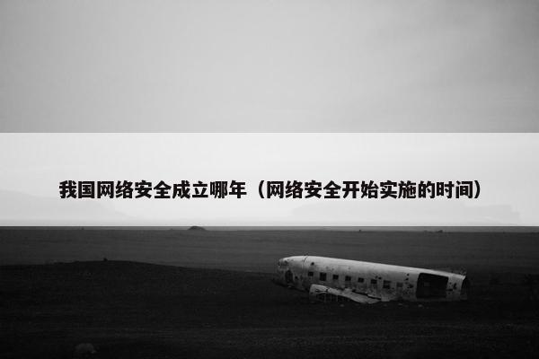 我国网络安全成立哪年（网络安全开始实施的时间）