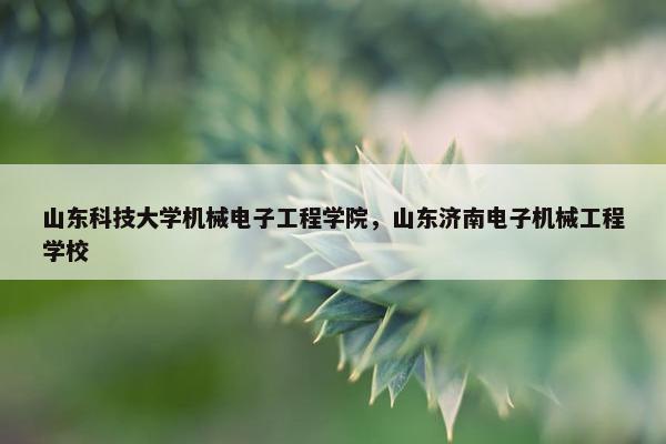 山东科技大学机械电子工程学院，山东济南电子机械工程学校