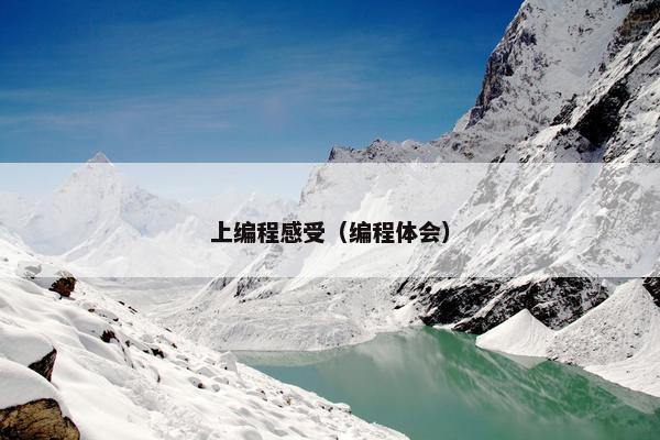 上编程感受（编程体会）