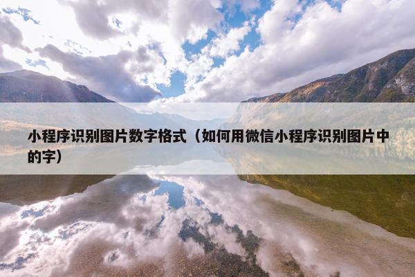 小程序识别图片数字格式（如何用微信小程序识别图片中的字）