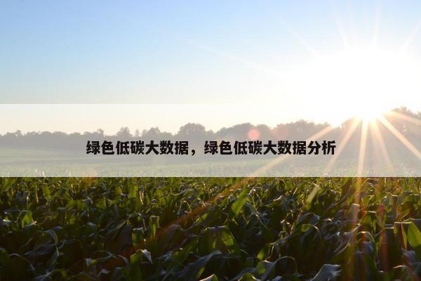 绿色低碳大数据，绿色低碳大数据分析