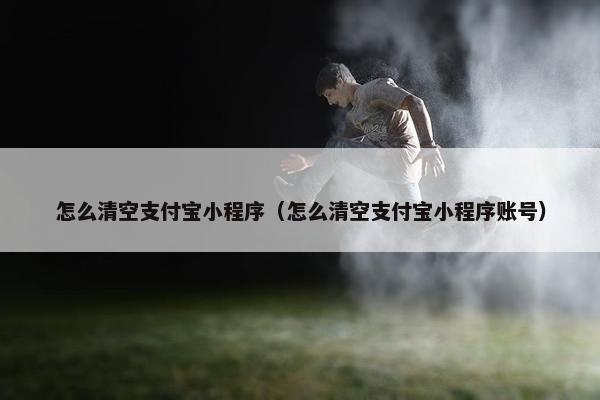 怎么清空支付宝小程序（怎么清空支付宝小程序账号）