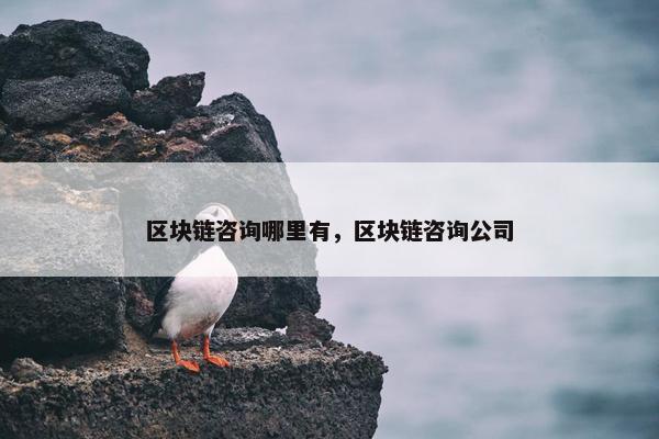 区块链咨询哪里有，区块链咨询公司