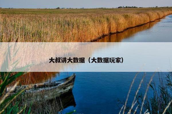 大叔讲大数据（大数据玩家）