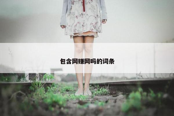 包含网赚网吗的词条