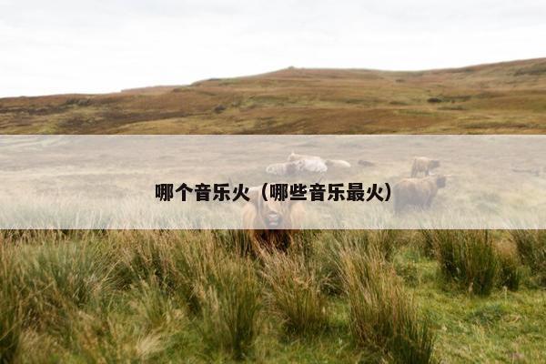 哪个音乐火（哪些音乐最火）