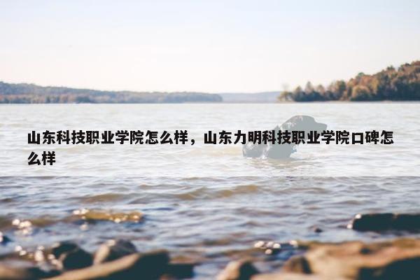 山东科技职业学院怎么样，山东力明科技职业学院口碑怎么样