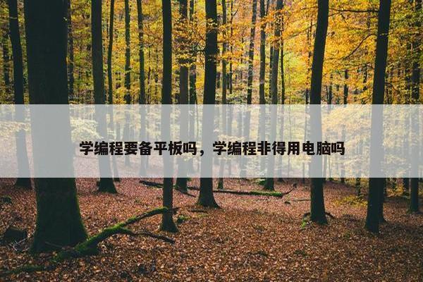 学编程要备平板吗，学编程非得用电脑吗