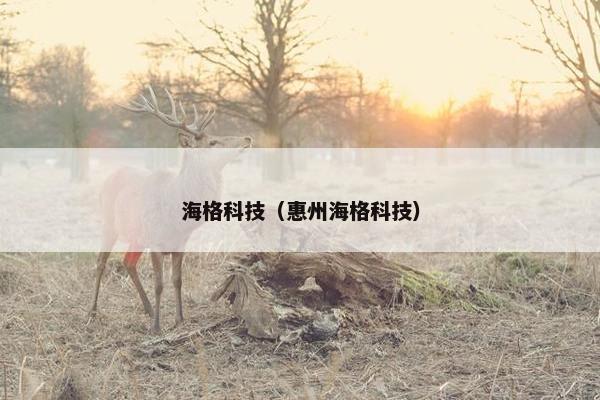 海格科技（惠州海格科技）