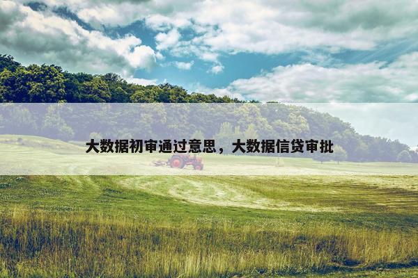 大数据初审通过意思，大数据信贷审批
