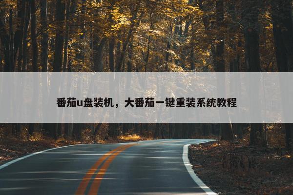 番茄u盘装机，大番茄一键重装系统教程