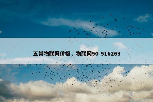 五常物联网价格，物联网50 516263