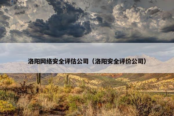 洛阳网络安全评估公司（洛阳安全评价公司）