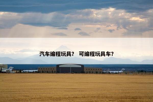 汽车编程玩具？ 可编程玩具车？