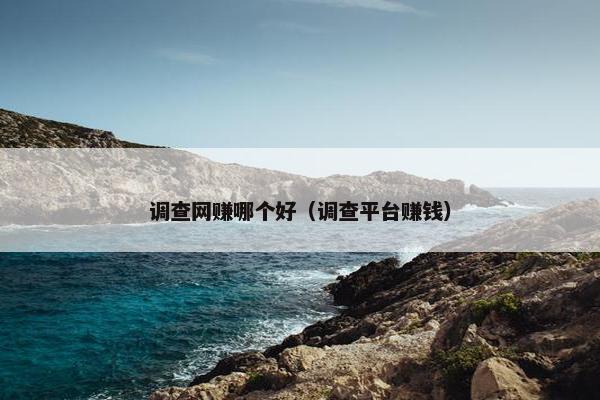 调查网赚哪个好（调查平台赚钱）