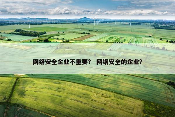 网络安全企业不重要？ 网络安全的企业？