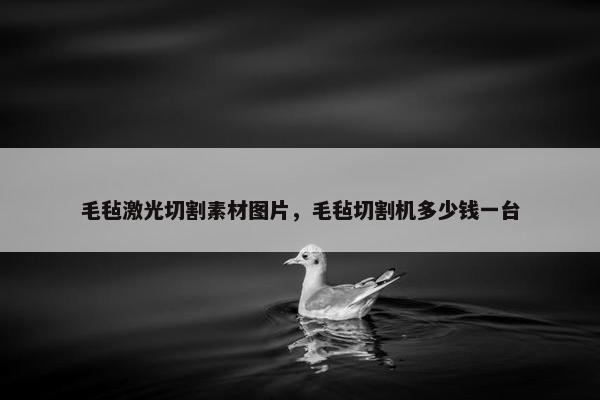 毛毡激光切割素材图片，毛毡切割机多少钱一台