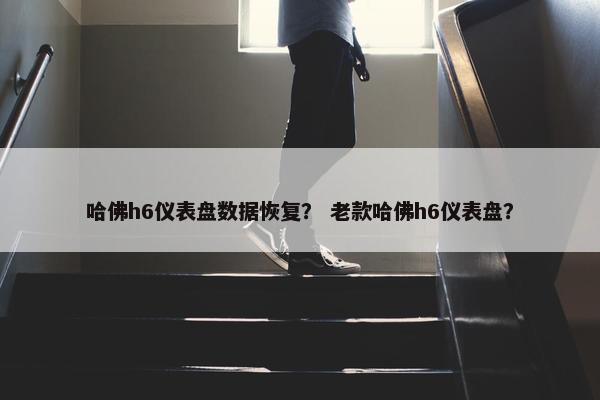 哈佛h6仪表盘数据恢复？ 老款哈佛h6仪表盘？