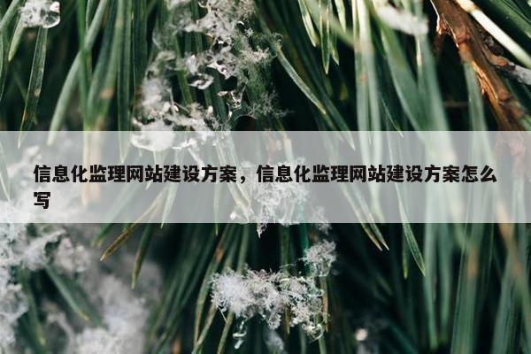 信息化监理网站建设方案，信息化监理网站建设方案怎么写