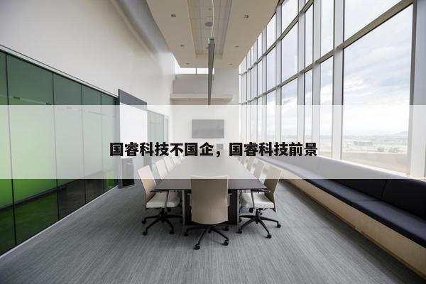国睿科技不国企，国睿科技前景
