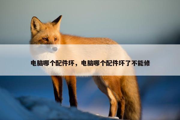 电脑哪个配件坏，电脑哪个配件坏了不能修