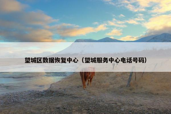 望城区数据恢复中心（望城服务中心电话号码）