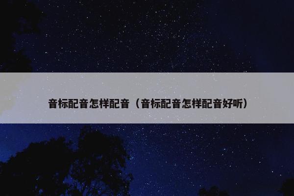 音标配音怎样配音（音标配音怎样配音好听）
