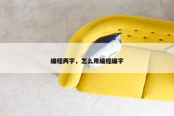 编程两字，怎么用编程编字