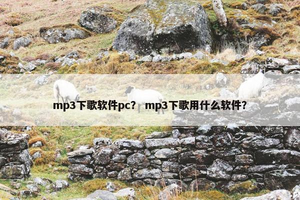 mp3下歌软件pc？ mp3下歌用什么软件？