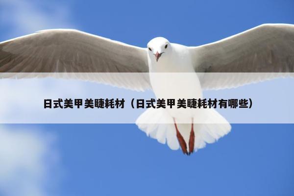 日式美甲美睫耗材（日式美甲美睫耗材有哪些）