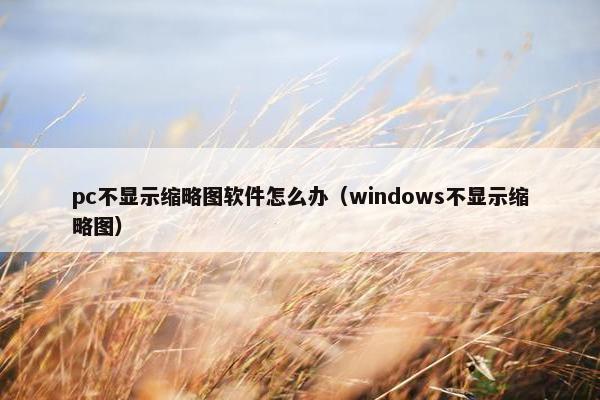 pc不显示缩略图软件怎么办（windows不显示缩略图）