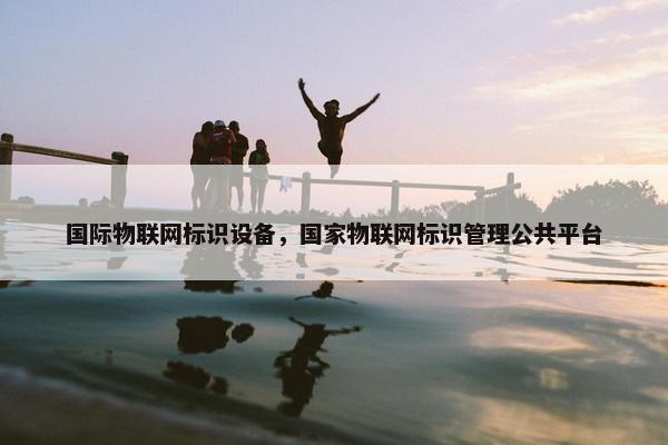 国际物联网标识设备，国家物联网标识管理公共平台