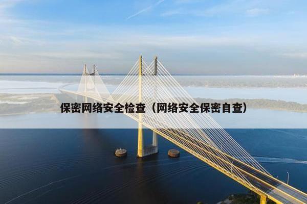 保密网络安全检查（网络安全保密自查）