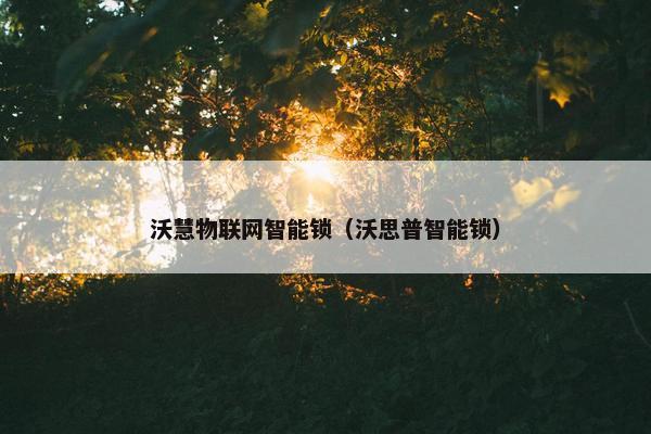 沃慧物联网智能锁（沃思普智能锁）